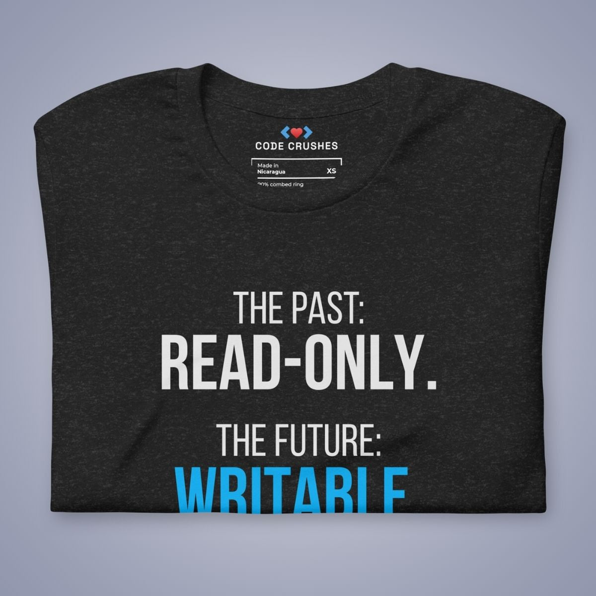 The Past: Read-Only. The Future: Writable. T-Shirt