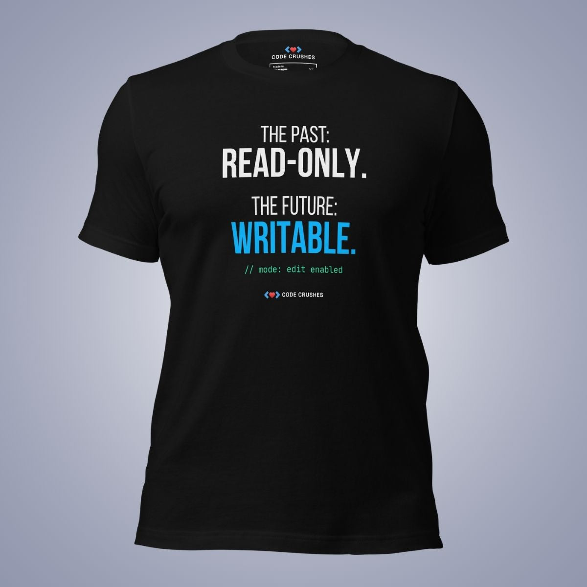 The Past: Read-Only. The Future: Writable. T-Shirt