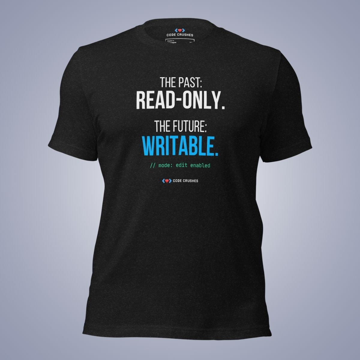 The Past: Read-Only. The Future: Writable. T-Shirt