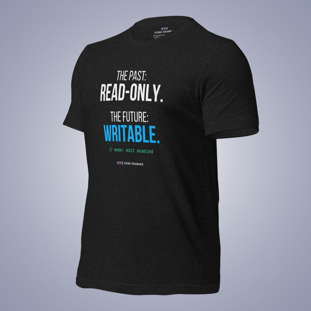 The Past: Read-Only. The Future: Writable. T-Shirt