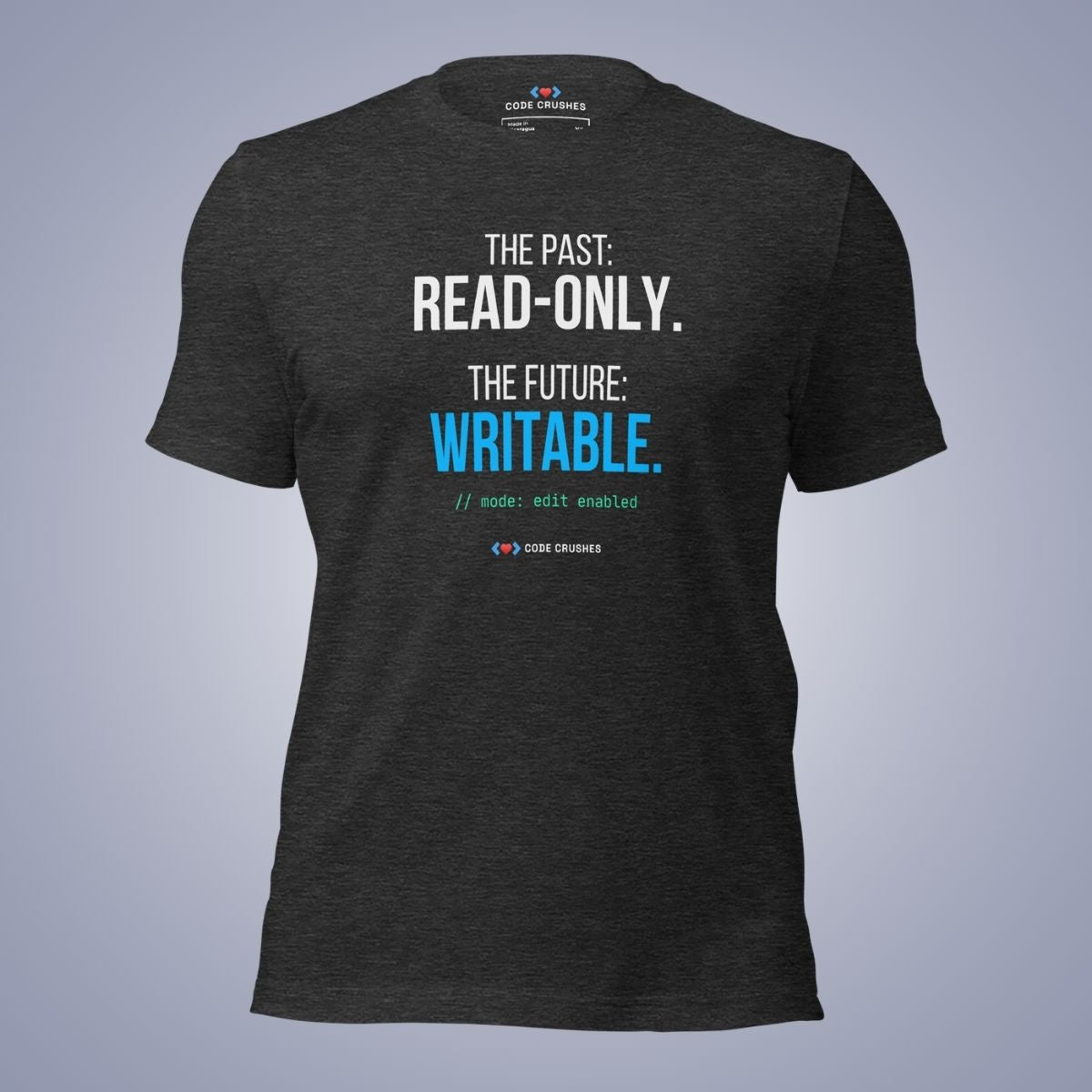 The Past: Read-Only. The Future: Writable. T-Shirt