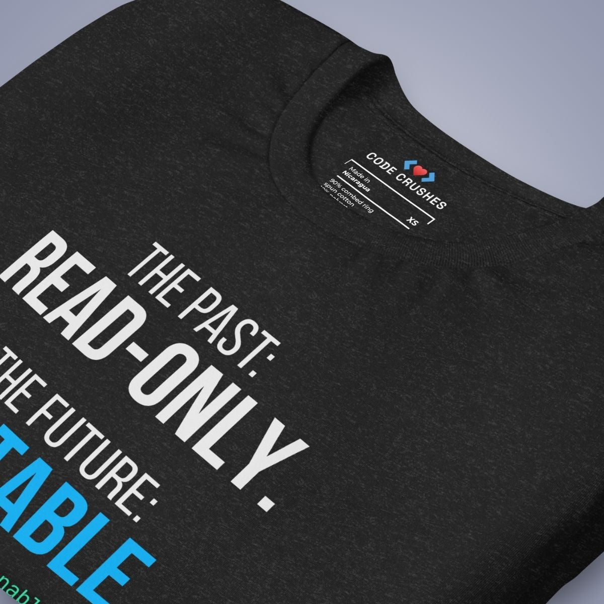 The Past: Read-Only. The Future: Writable. T-Shirt